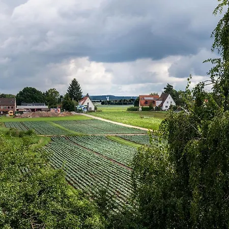 Gruene Elster * Fürth