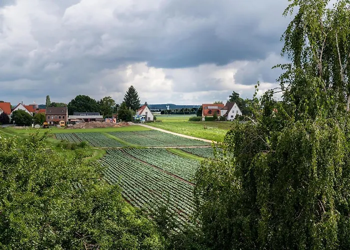 Gruene Elster * Fürth