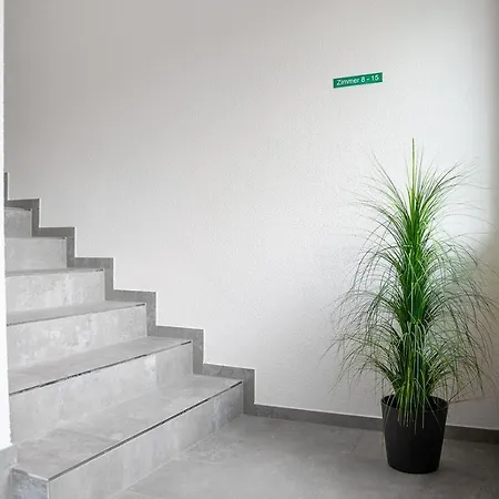 Grüne Elster * Fürth