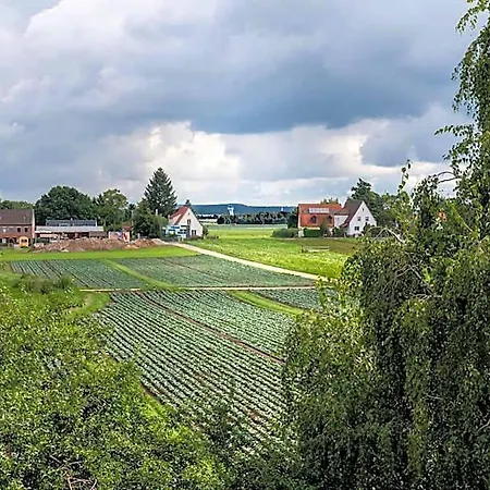 Gruene Elster Hotel Fürth